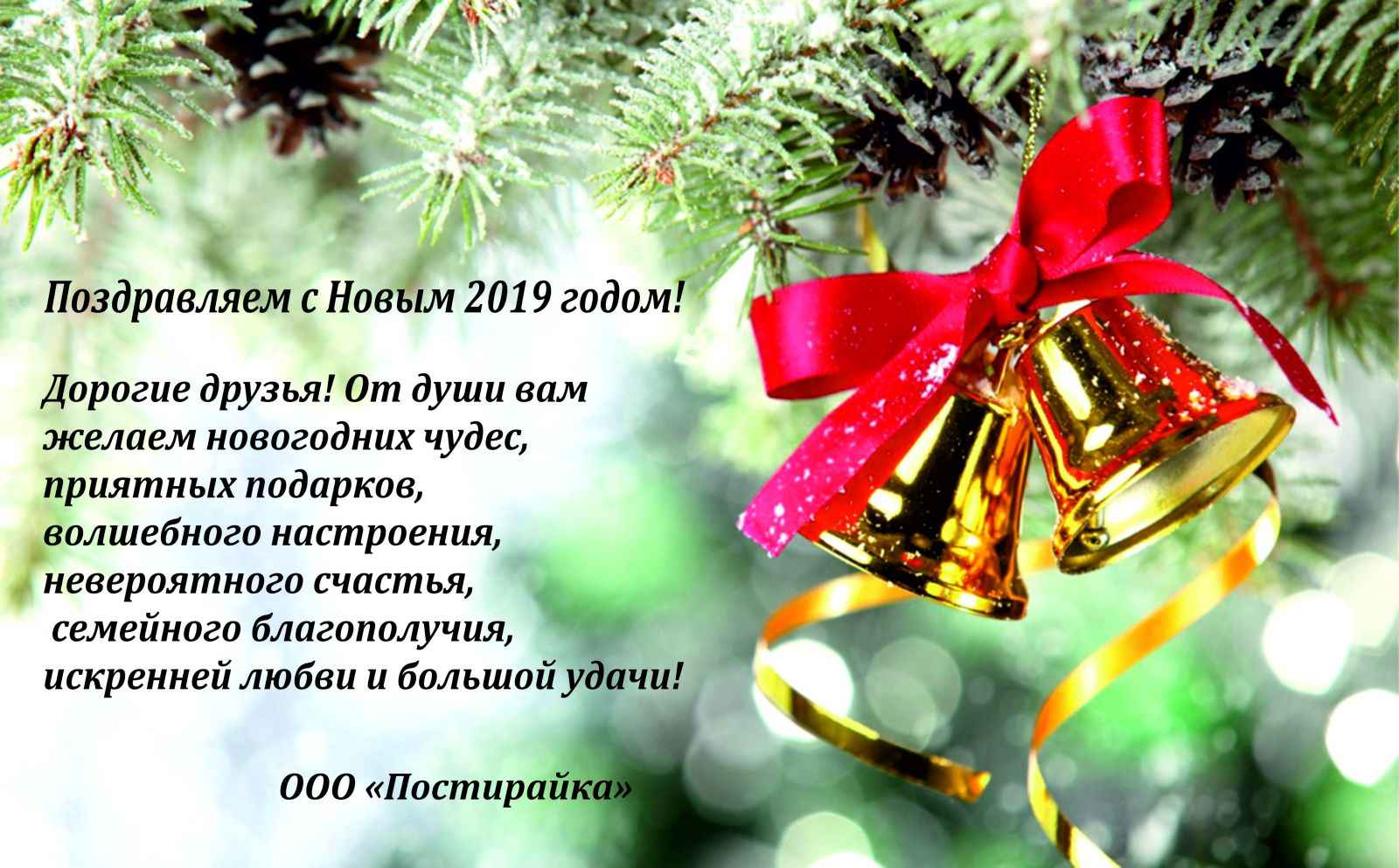 Новым 2019 годом